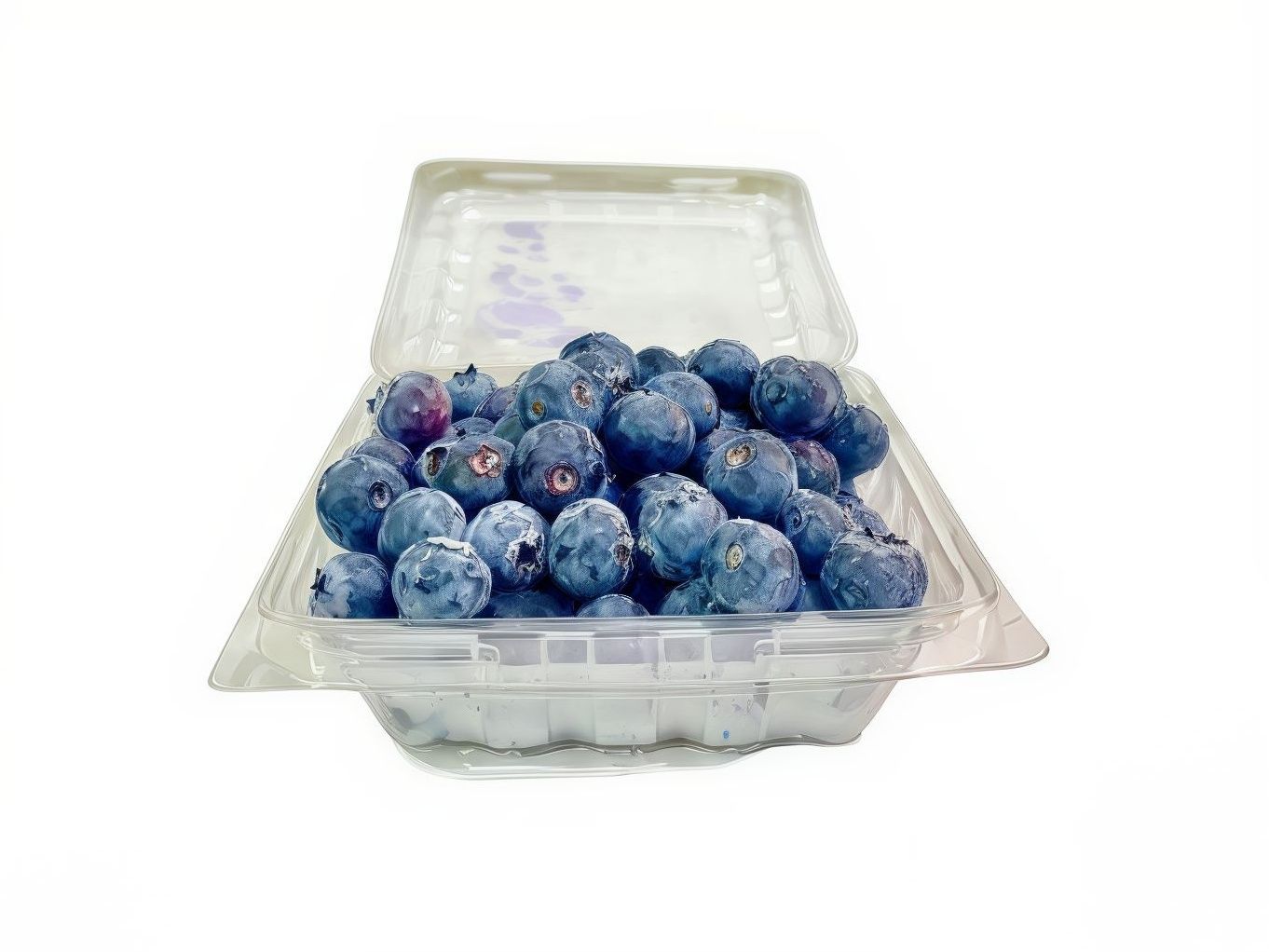 Panet Blueberry