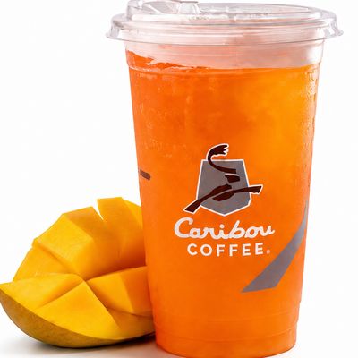 Mango Green Tea Shaker