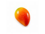 Mango Fantasy