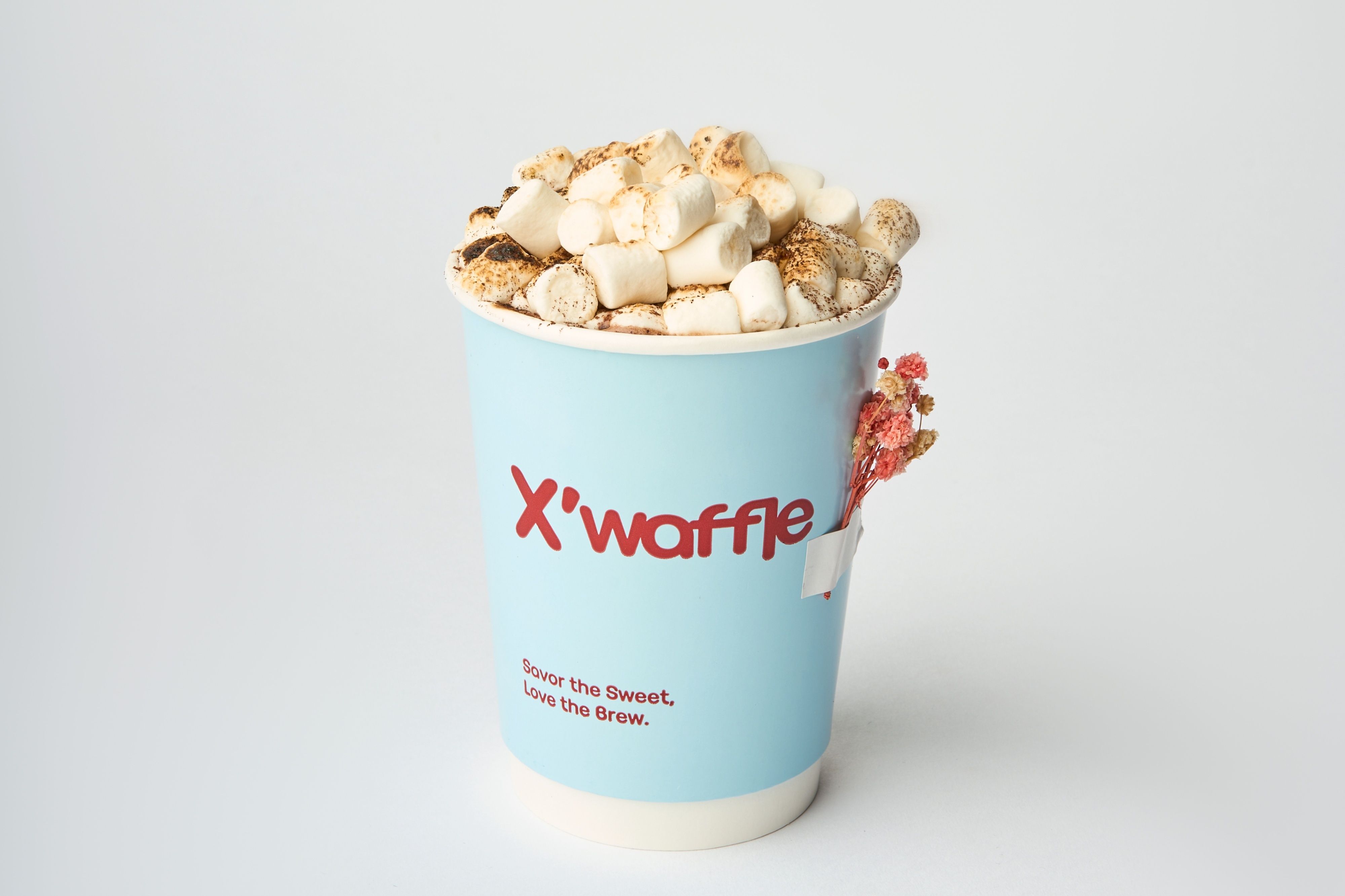 Marshmallow Hot chocolate