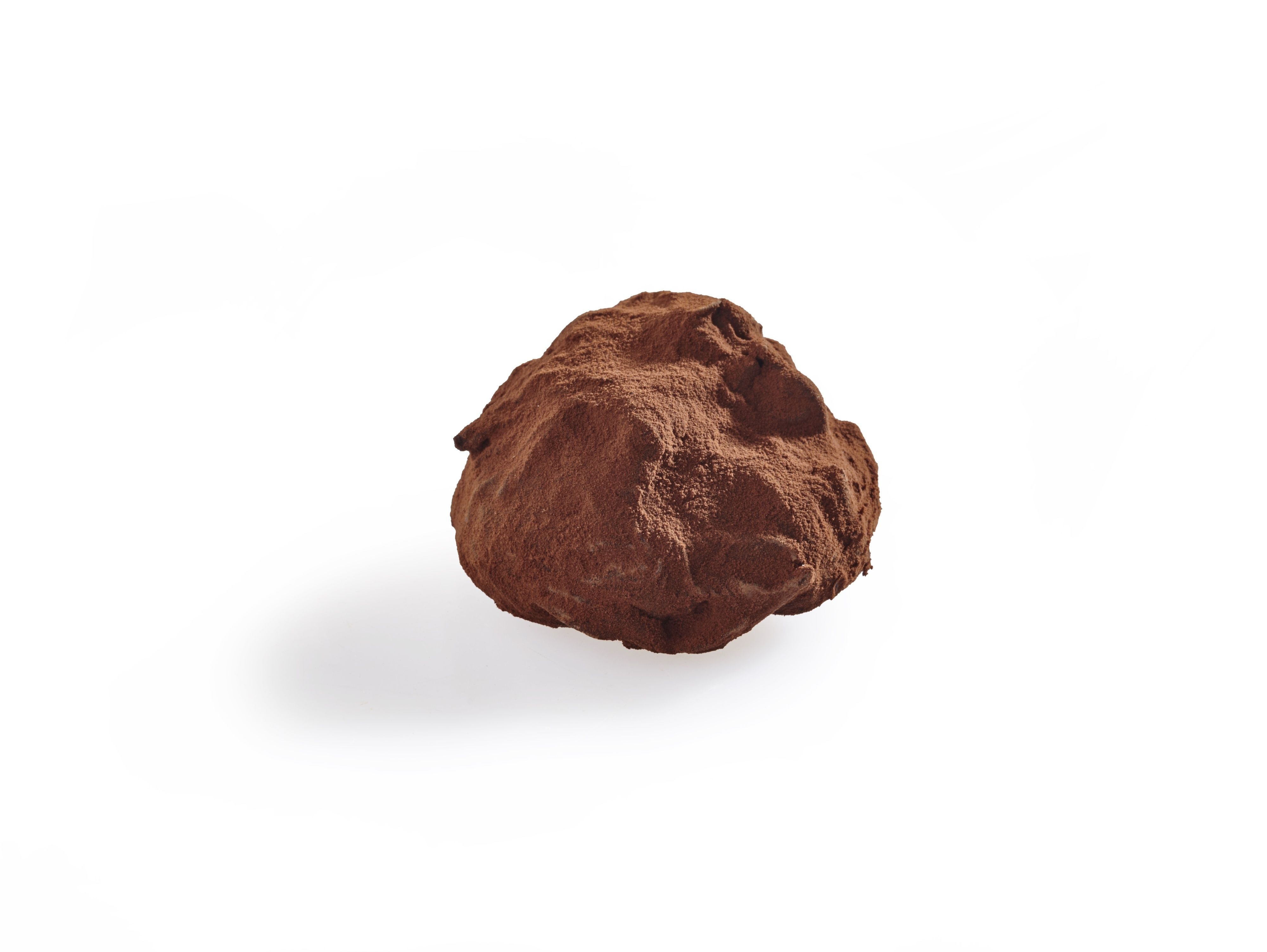 Hazelnut Cocoa Dusted Truffle