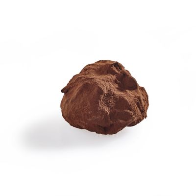 Hazelnut Cocoa Dusted Truffle