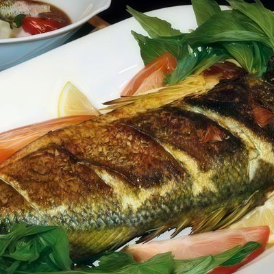 Gilthead Bream Fish Meal