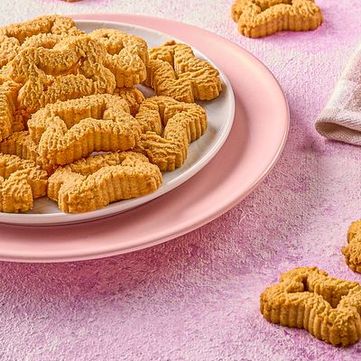 Cinnamon Biscuit