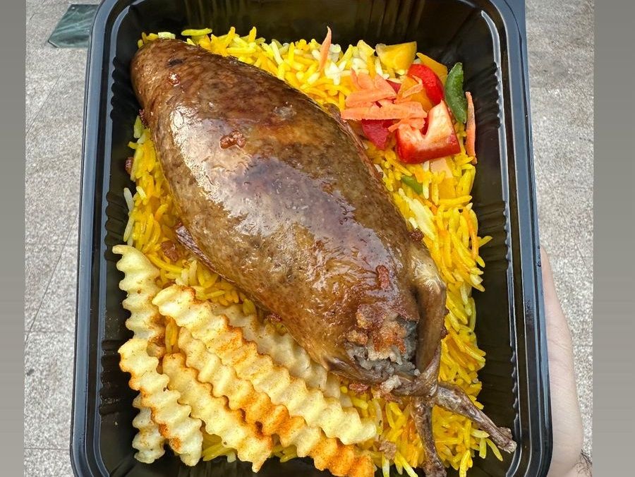 Stuffed pigeon with freek