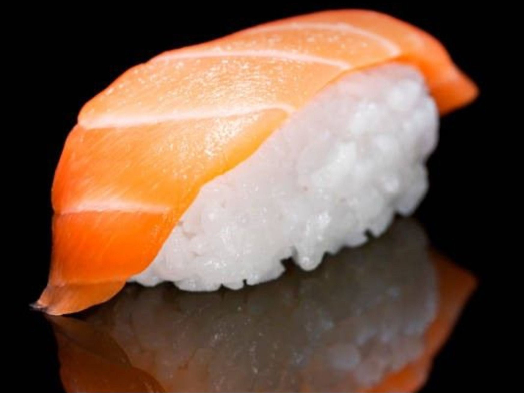 Salmon