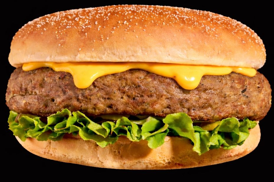 Classic Burger Sandwich
