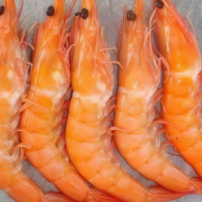 1/4 Medium Shrimp