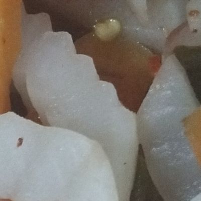 Fresh Pickled Torshi