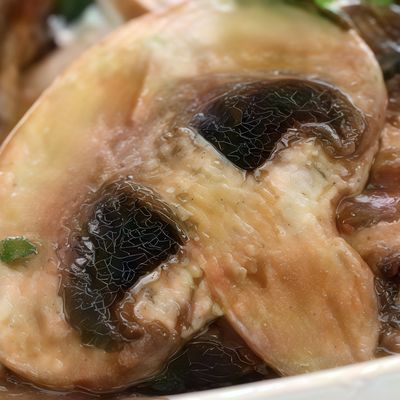 Extra Mushroom