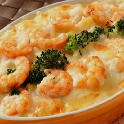 Penne Pasta with Shrimp and White Sauce