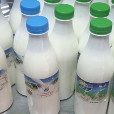 Ayran Milk