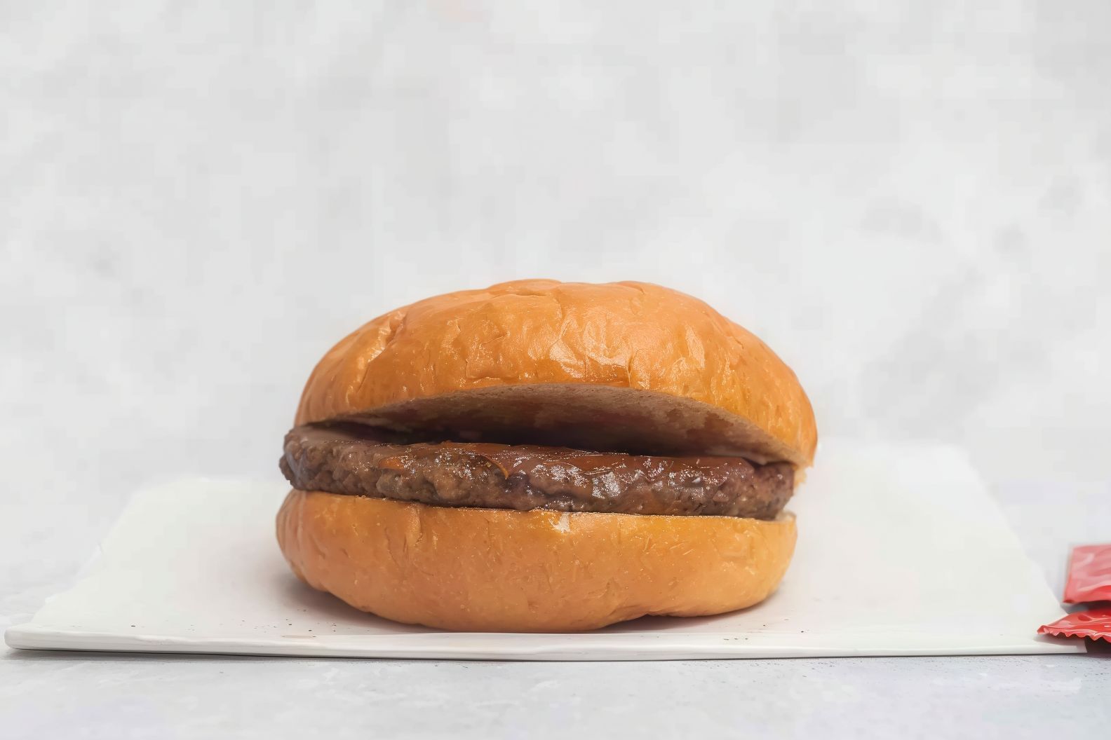 Plain Burger Sandwich