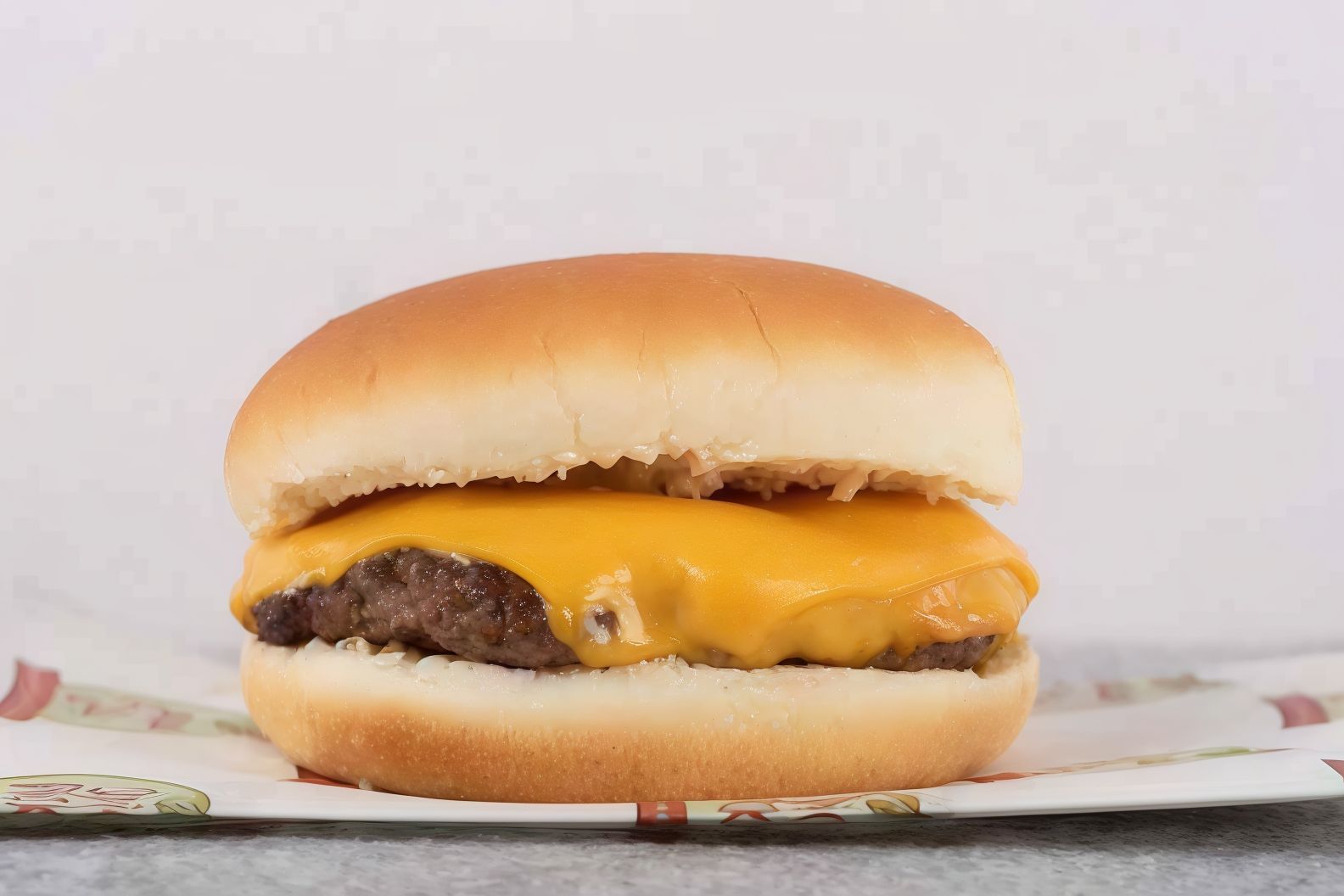 Cheddar Cheese Burger Sandwich