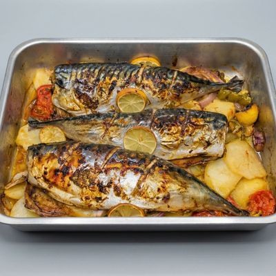 Mackerel Meal
