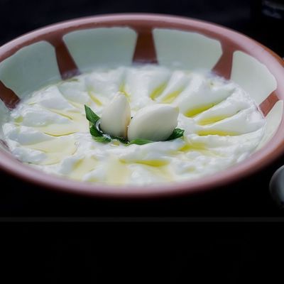 Fresh Toumeya