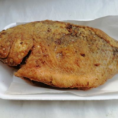 Tilapia Meal