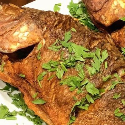 Tilapia Fish