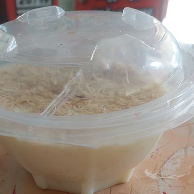Rice Pudding Plate Liter