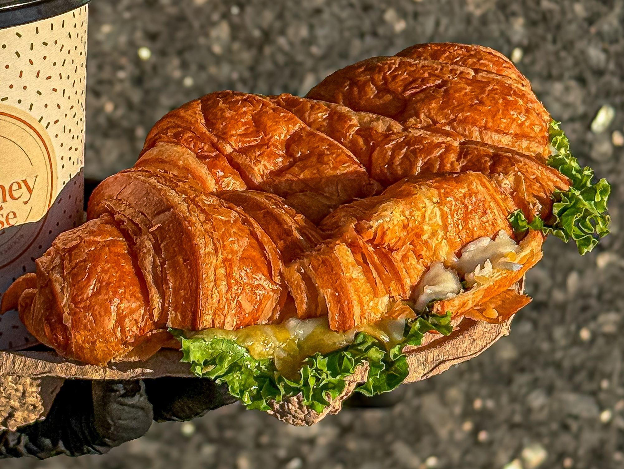 Mixed cheese croissant