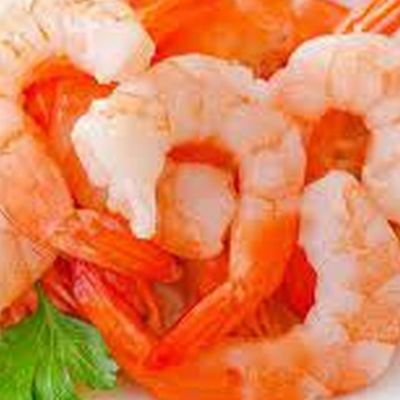 Shrimp Lover