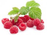 Red Berries