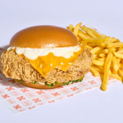 X Square photo 4