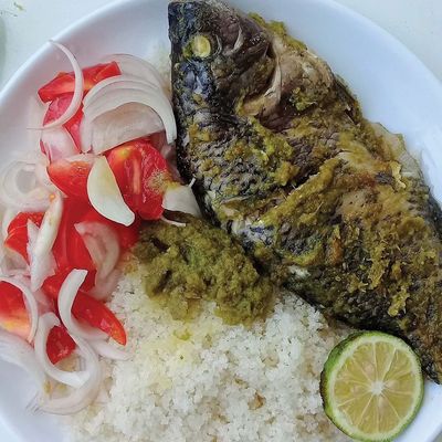 Tilapia meal