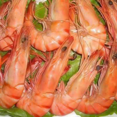 Jumbo Shrimp