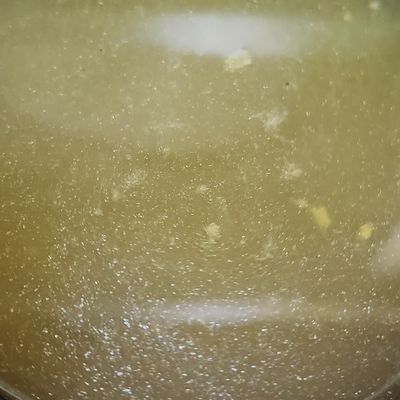 Plain Pigeon Soup