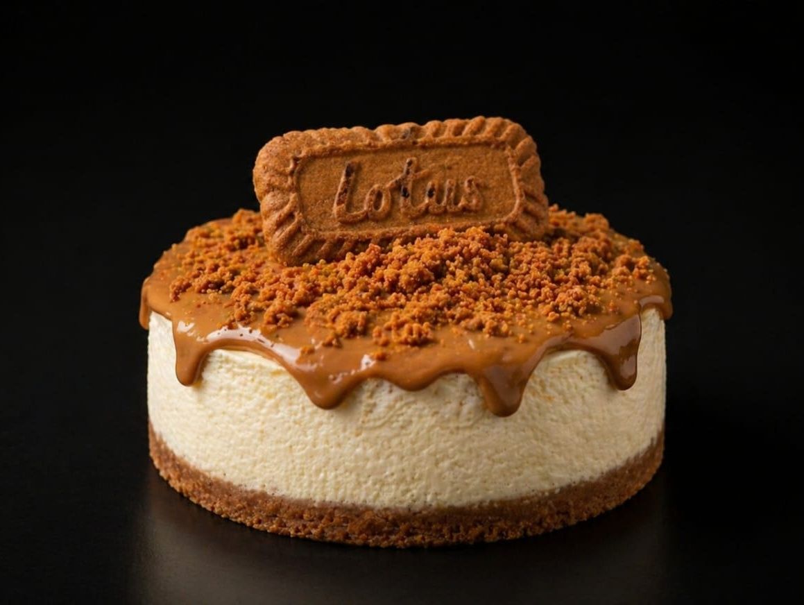 Lotus Cheesecake Circle