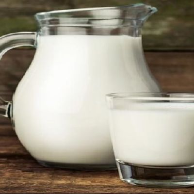 Fresh Buffalo Milk