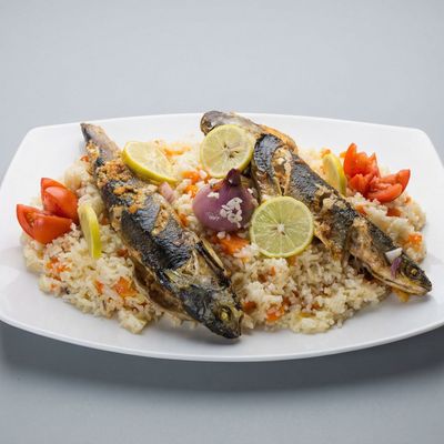 Grey Mullet meal