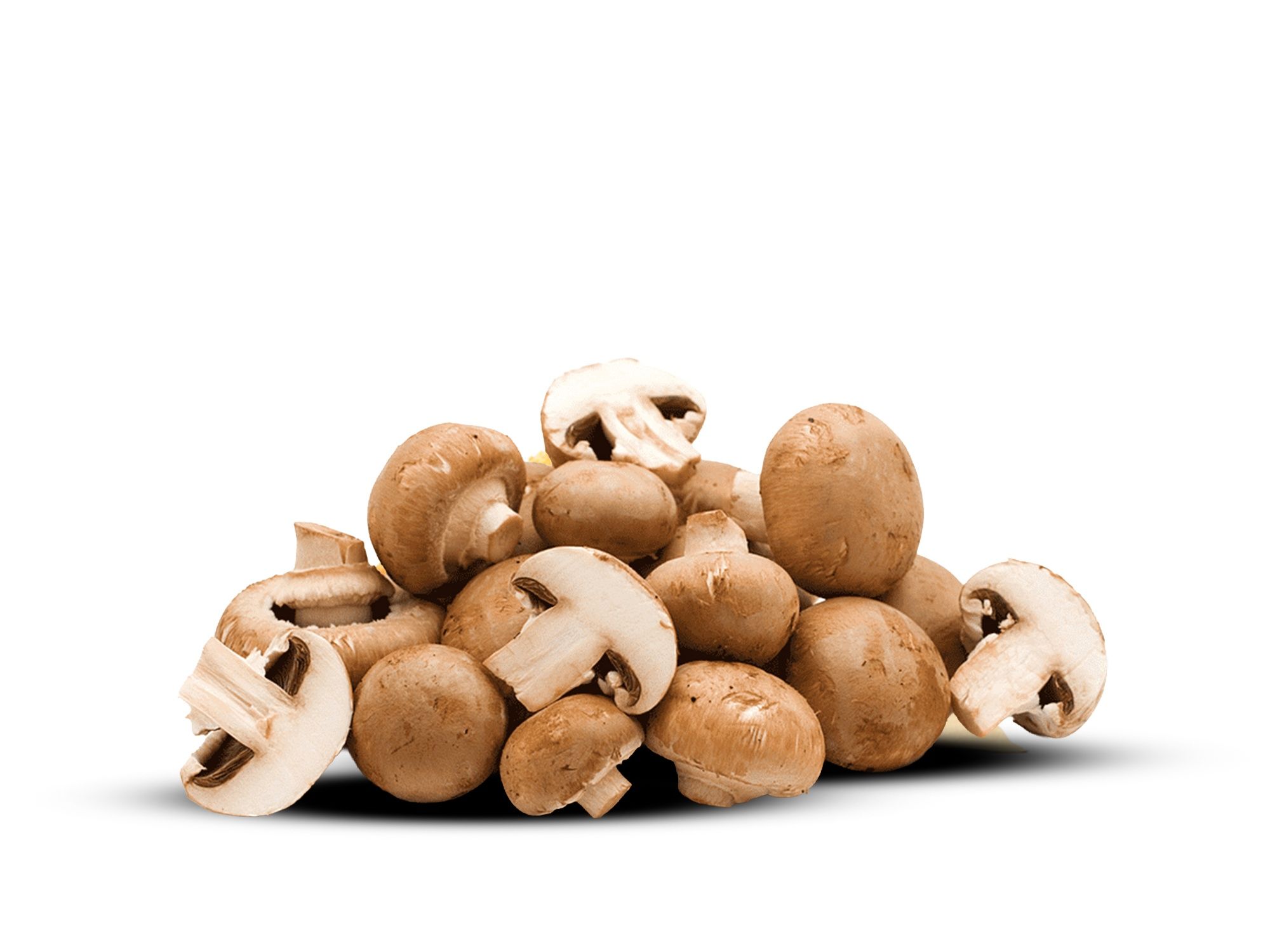 Mushroom