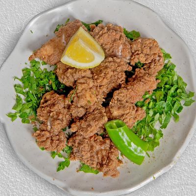 مخ (مخ)