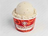 Vanilla Ice Cream