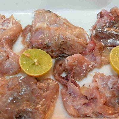 Fesikh meal