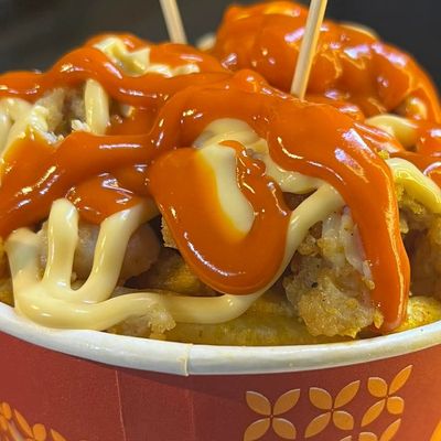Fries With Melted Cheese, Turkey, And Crispy Chicken