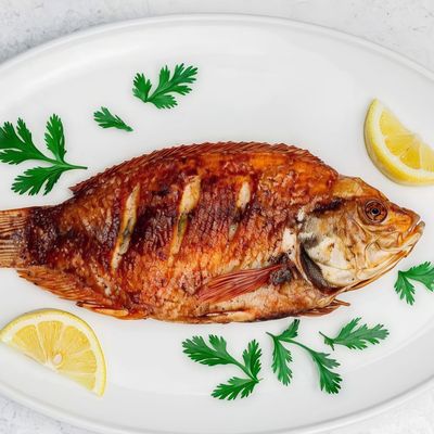 Tilapia Fish