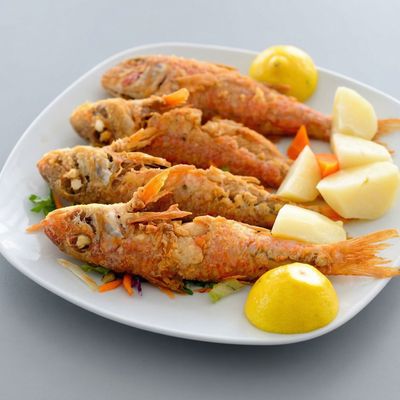 Macaroni Fish