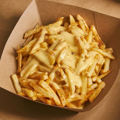 Melted Cheese Fries