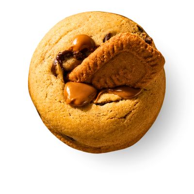 Lotus Cookies Biscuit