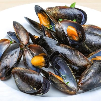mussels with fried calamari
