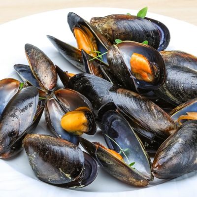 mussels