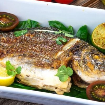 Baladi Croaker Fish