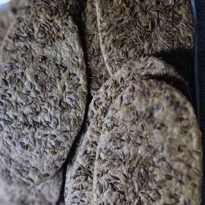 Cumin Slices