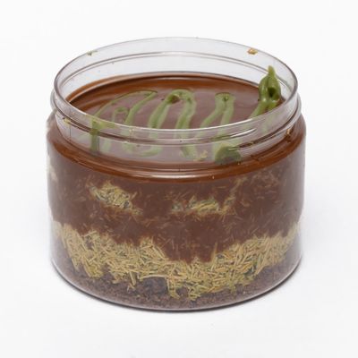 Keto Dubai Cake