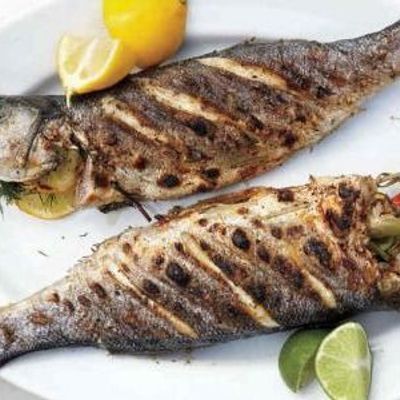 Croaker