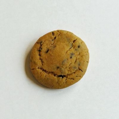 Chocolate Chip Cookie