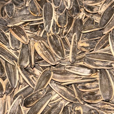 Sunflower Seeds 100 Gm